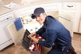 Best Green Plumbing Solutions and Water Conservation  in Woodlake, VA